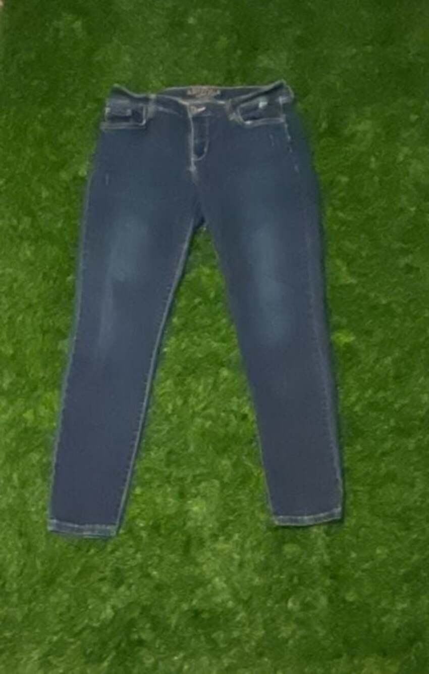 Arizona Jean Co. Women's Blue Denim Skinny Jeans